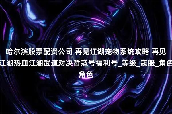 哈尔滨股票配资公司 再见江湖宠物系统攻略 再见江湖热血江湖武道对决哲寇号福利号_等级_寇服_角色