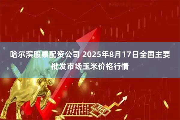 哈尔滨股票配资公司 2025年8月17日全国主要批发市场玉米价格行情