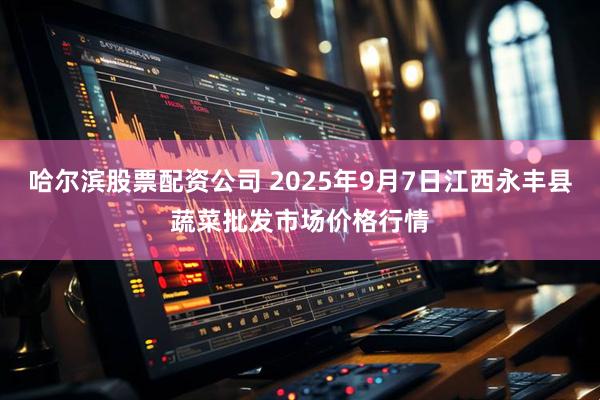 哈尔滨股票配资公司 2025年9月7日江西永丰县蔬菜批发市场价格行情